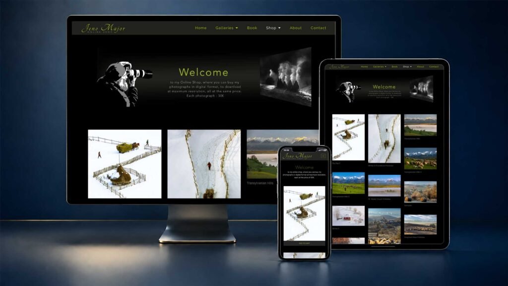 webdesign presentation jeno major