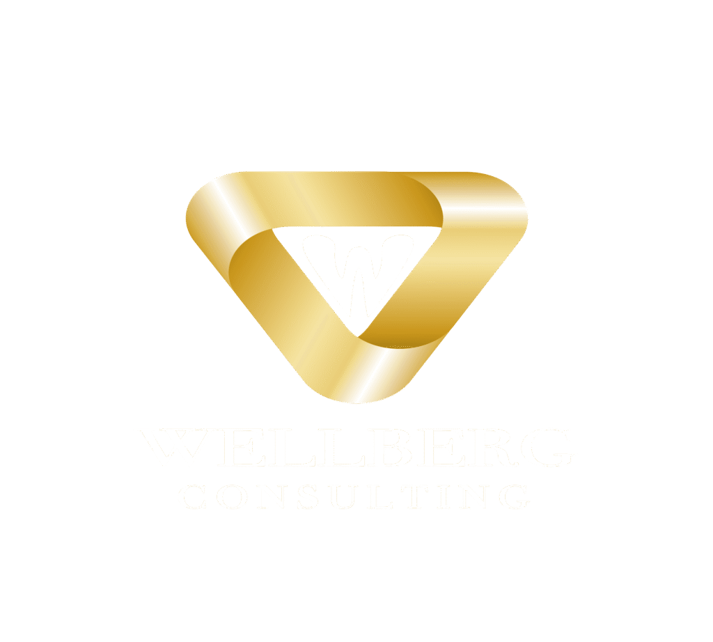 wellberg logo projekt transparent