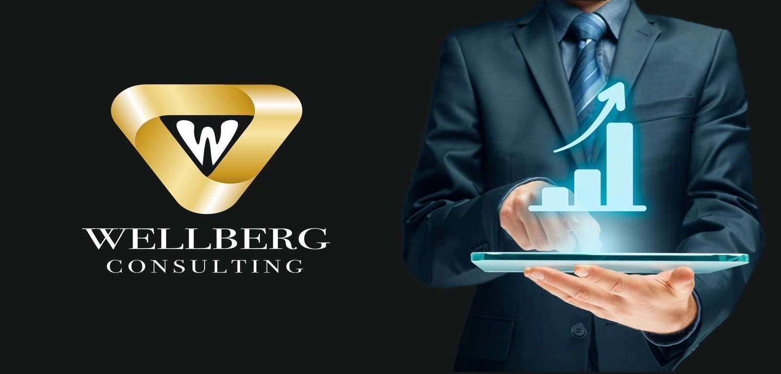 wellberg logo projekt